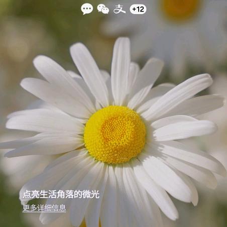 用户5847537497742