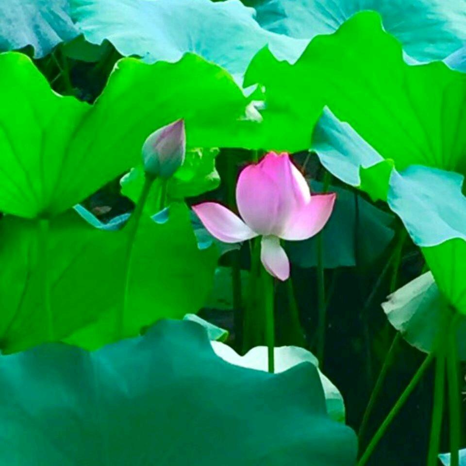 拼搏～～人生🏃2