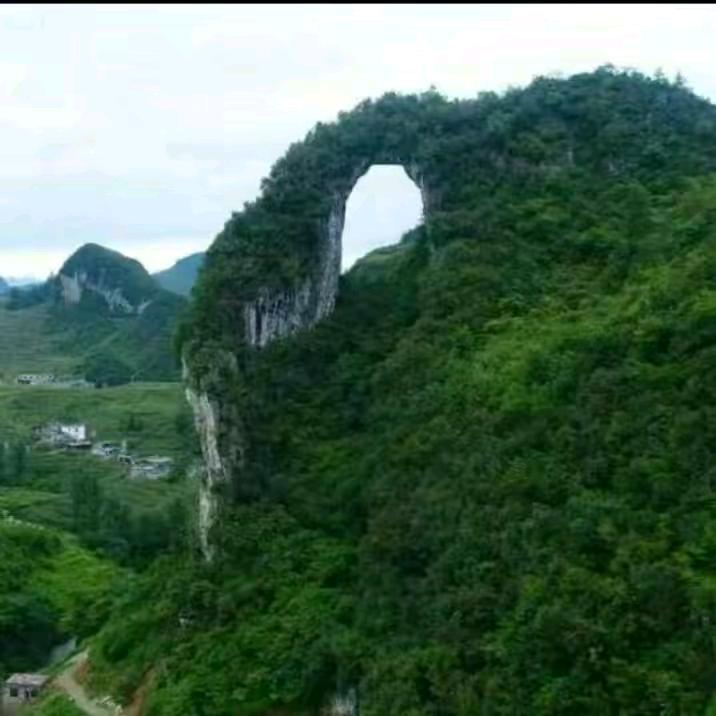 壹舤风舜