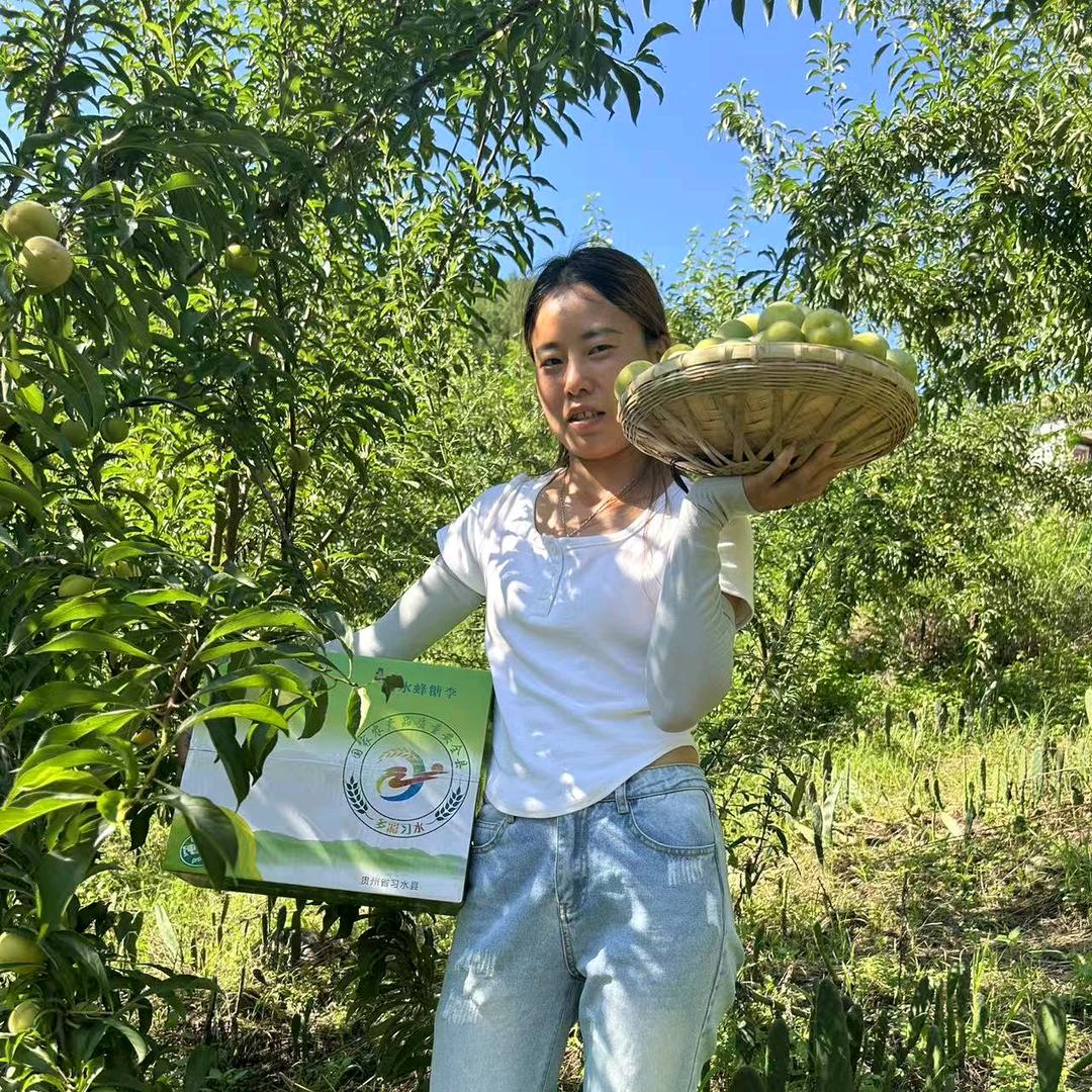 鑫菲蜂糖李小妹