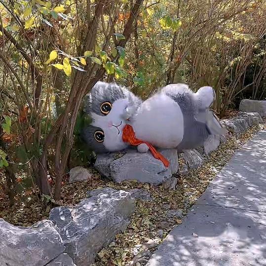 玉萍
