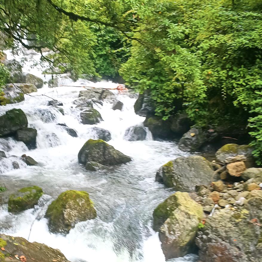 平安喜乐喵👍👍👍