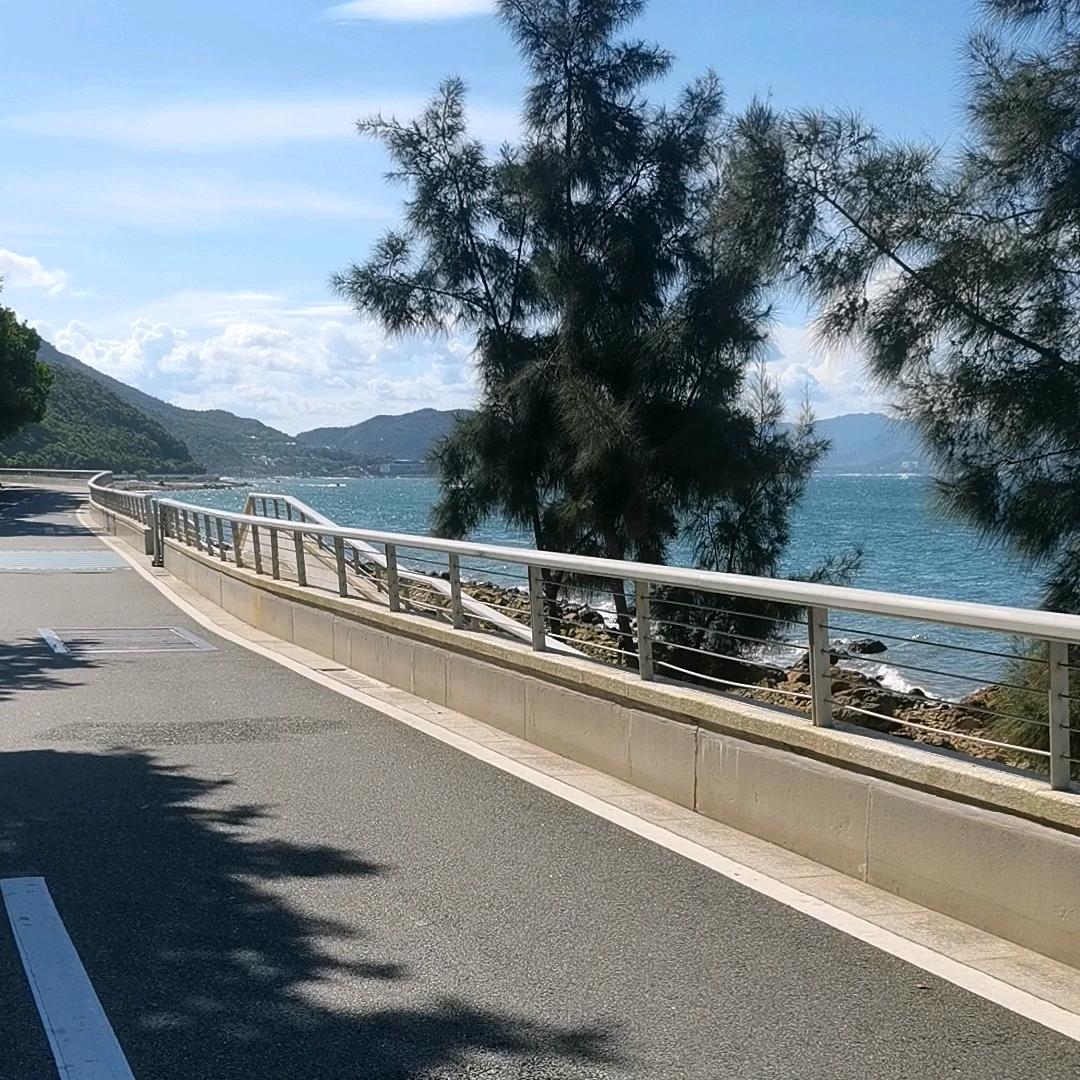 我是大树呀