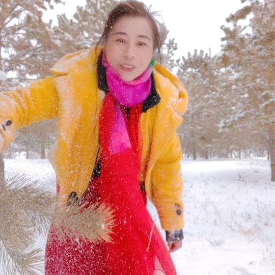 紫烟优选