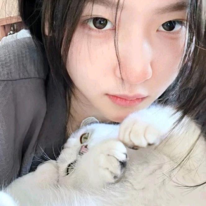 无尽雾