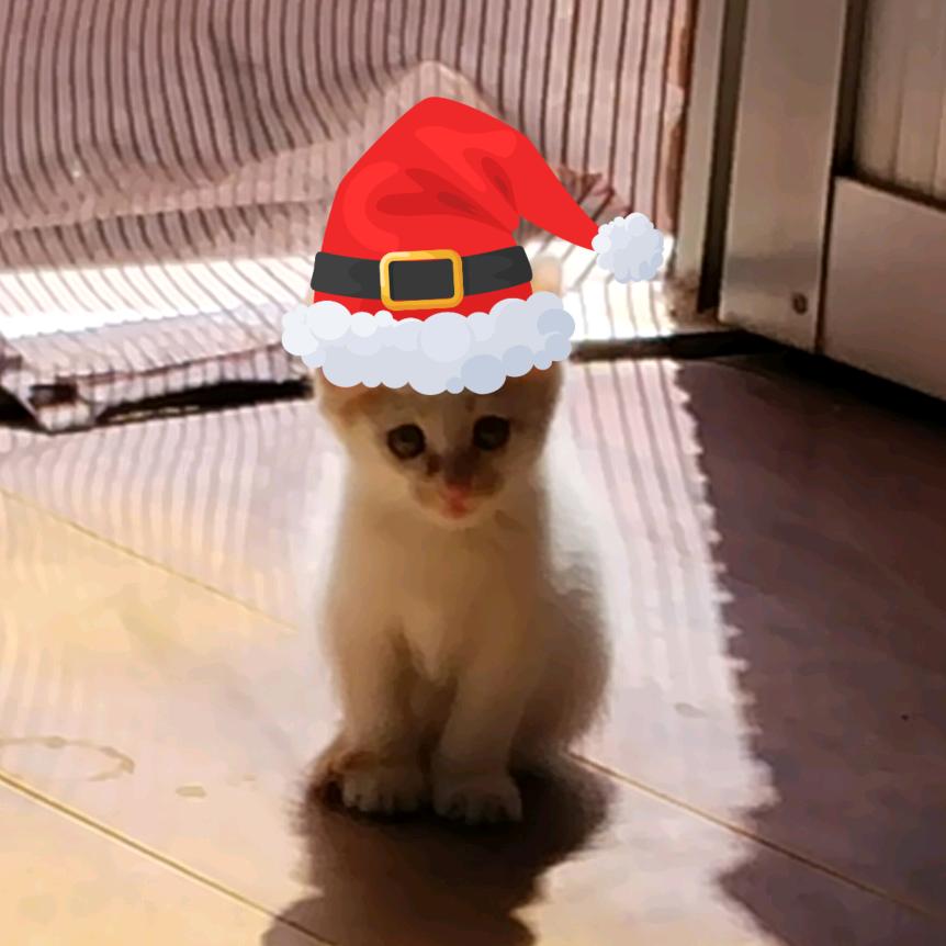 碎碎念（破防版）