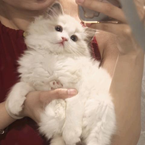 榮