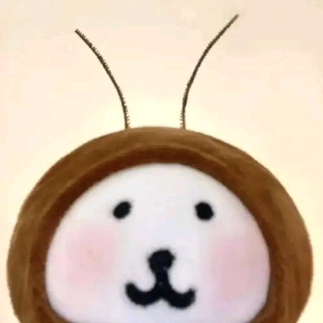 眼镜盒