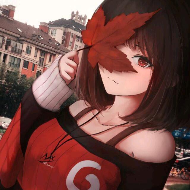 枫叶ぶ【星穹铁道】