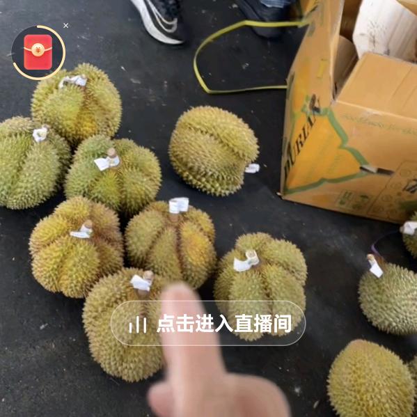 进出口榴莲批发