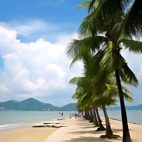 华中大区（洋总）