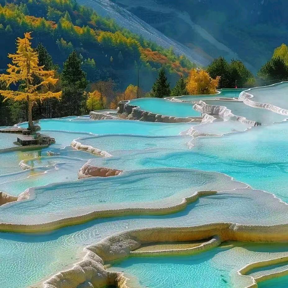 悦行旅行管家