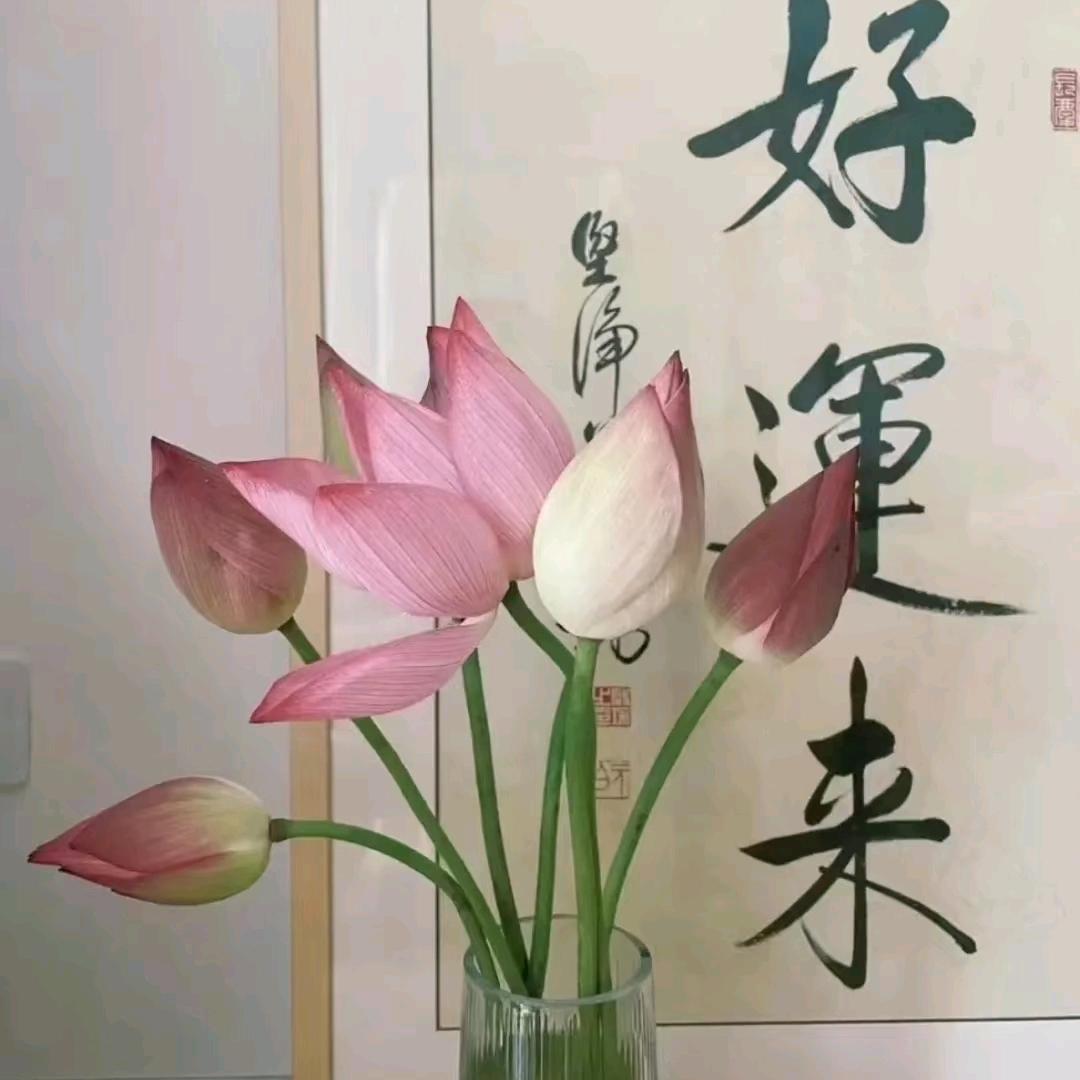 不吃姜姜.
