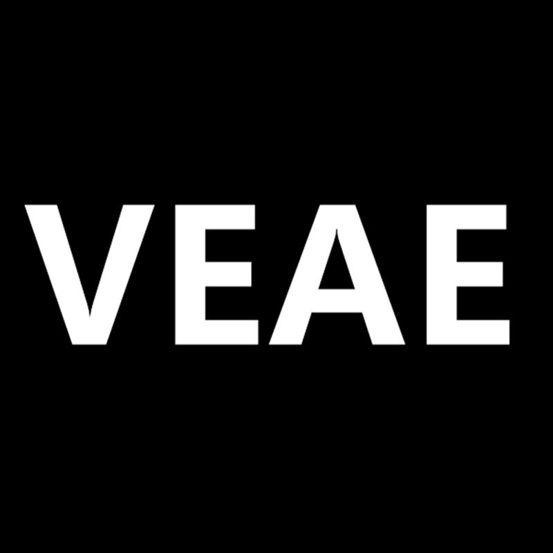 VEAE服饰企业店
