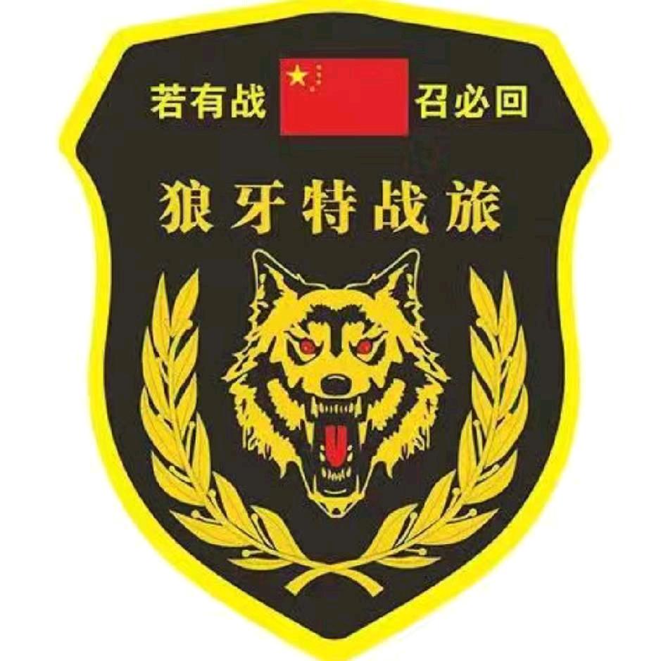 战狼孤鹰🇨🇳