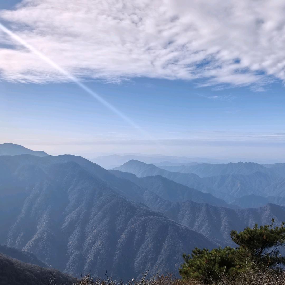 🔥元宝小团子🔥