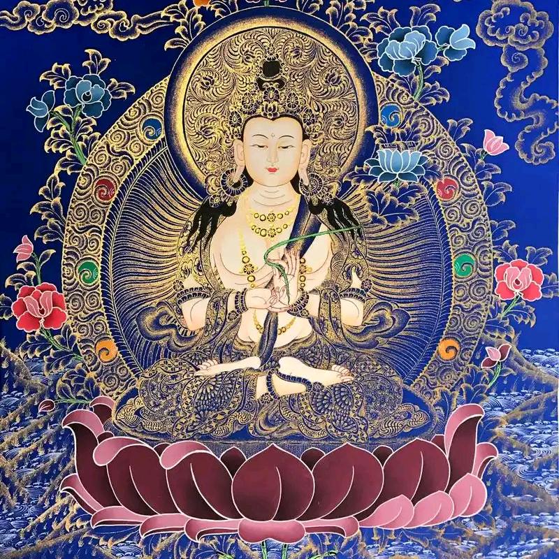 道法自然1