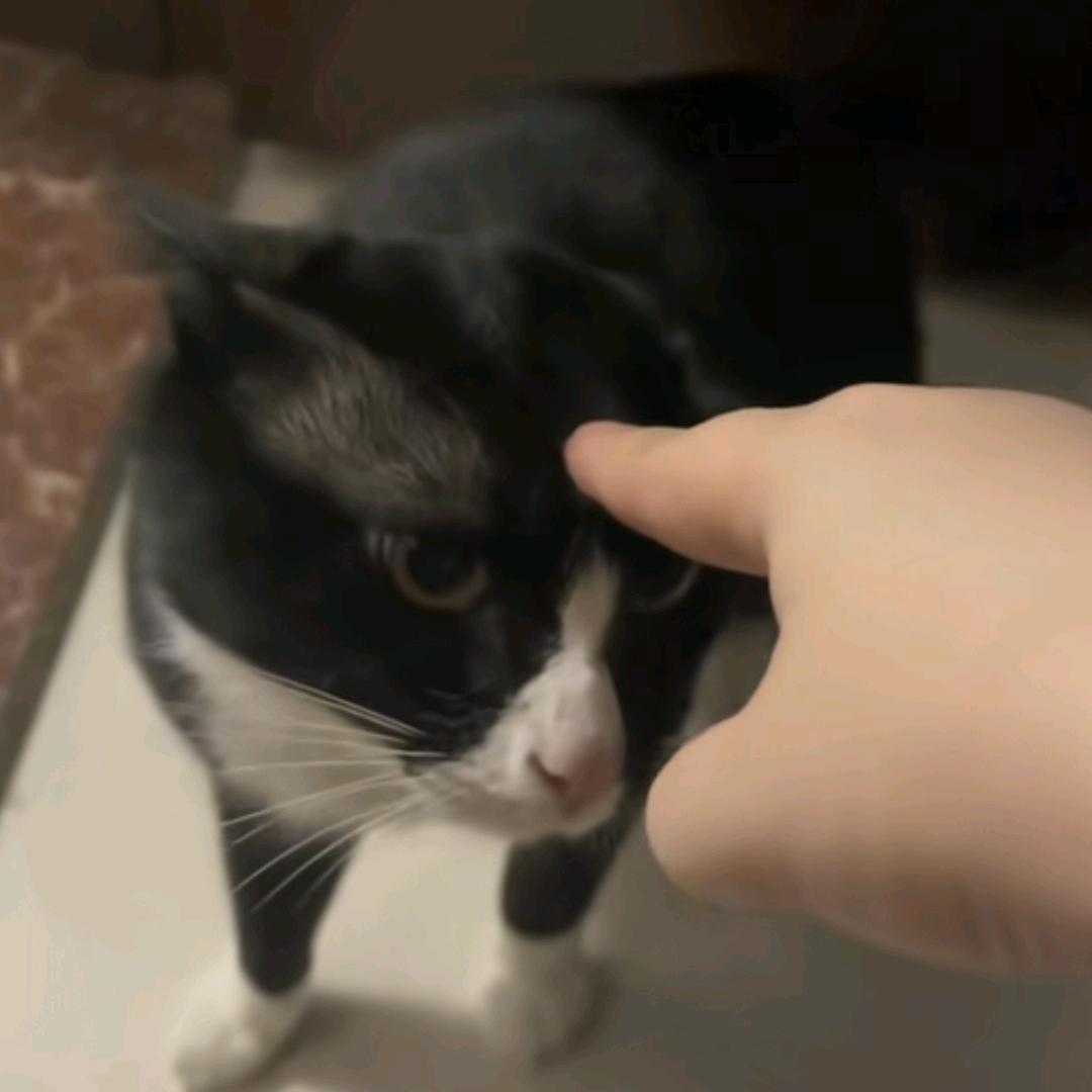 风行