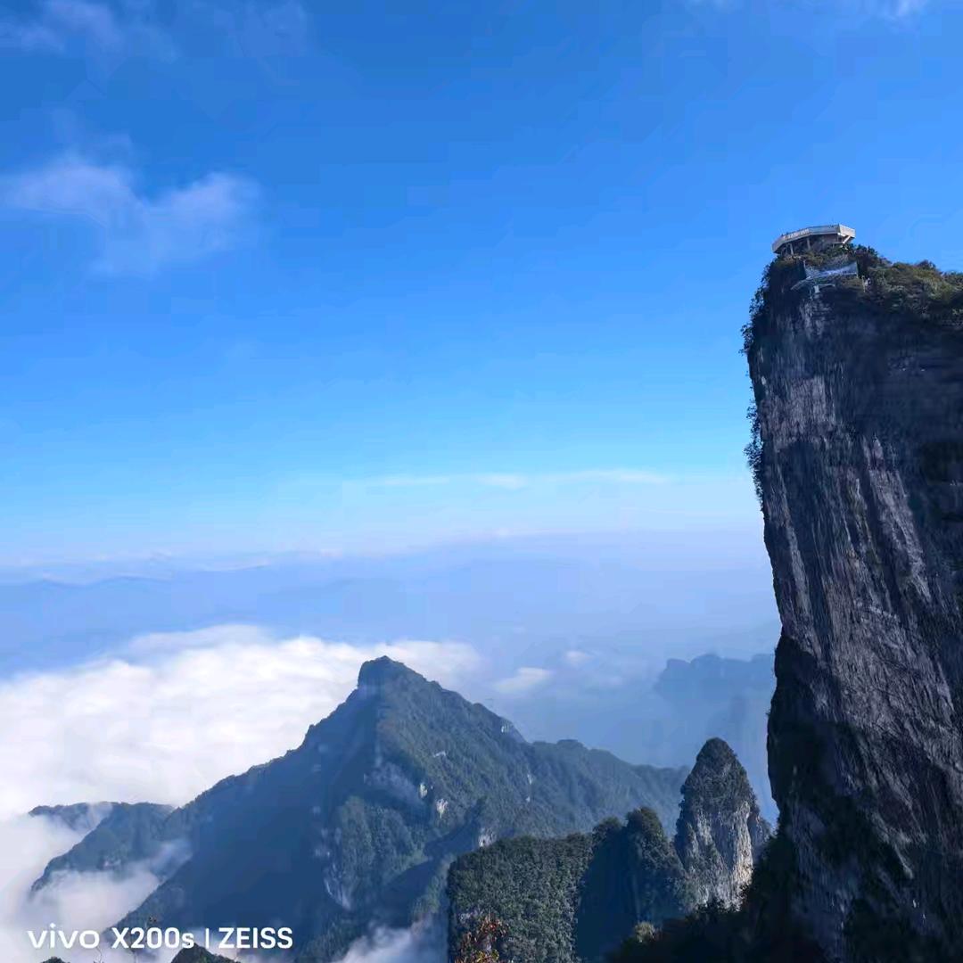 野狼
