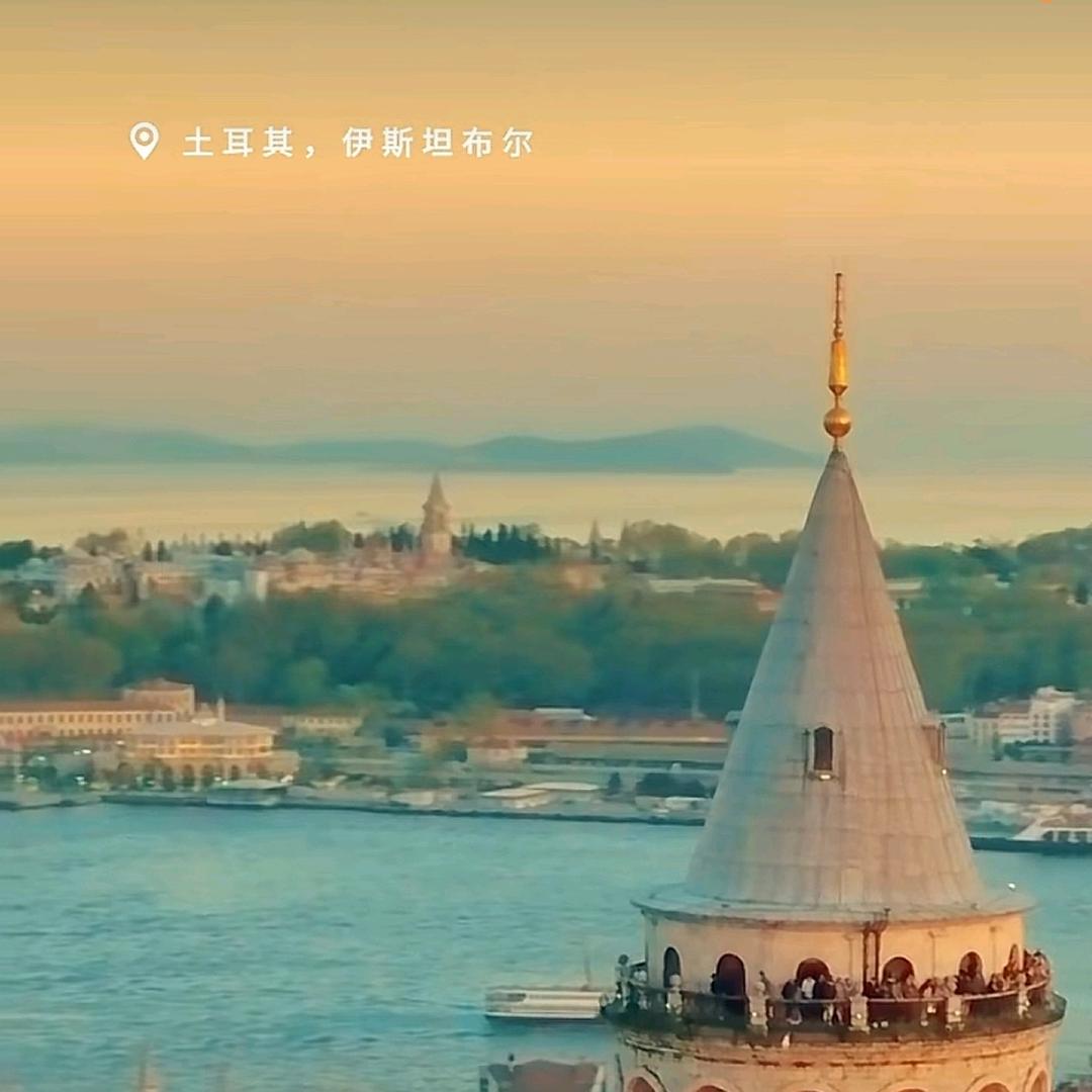 小猫咪咪