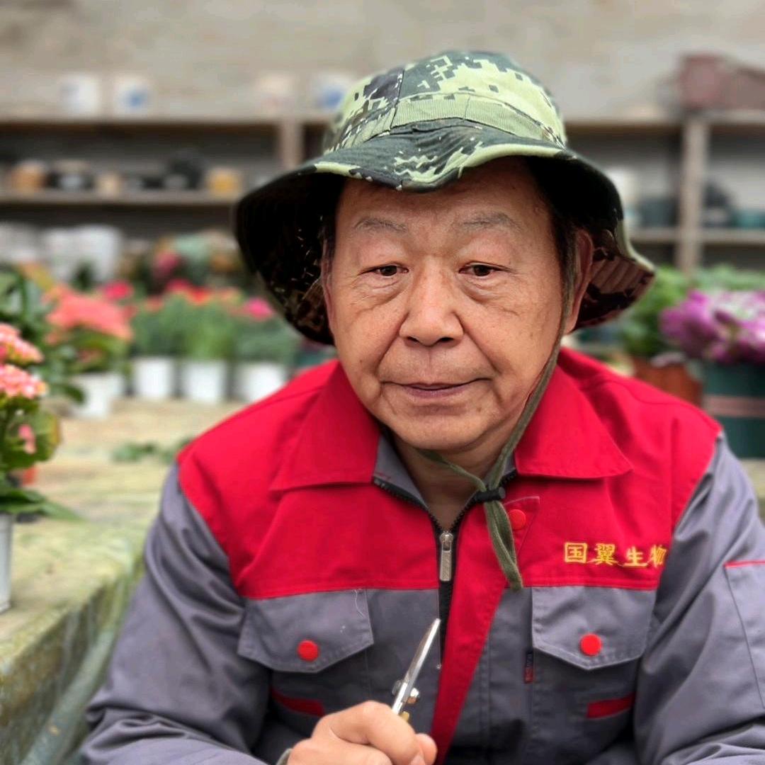 老雷养花