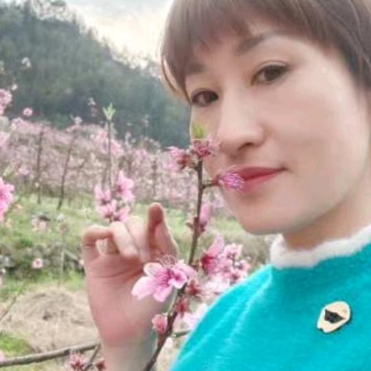 👄 云烟大叔👄