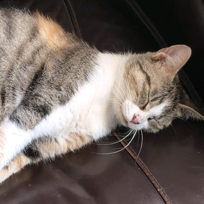 别凡了巴୧(๑•̀⌄•́๑)૭