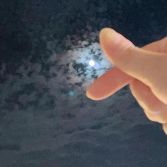 蚊子🦟