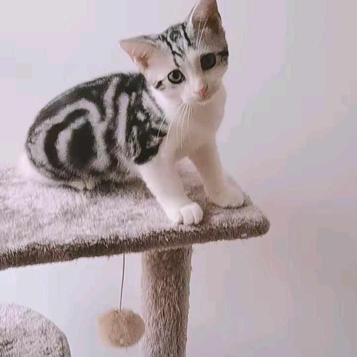 ꕥ᭄㞮孞💞ꦿᩚ࿐刘