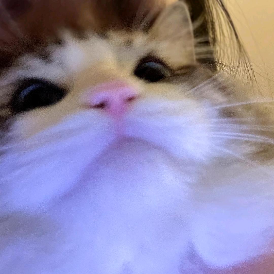 麦辣鸡腿堡
