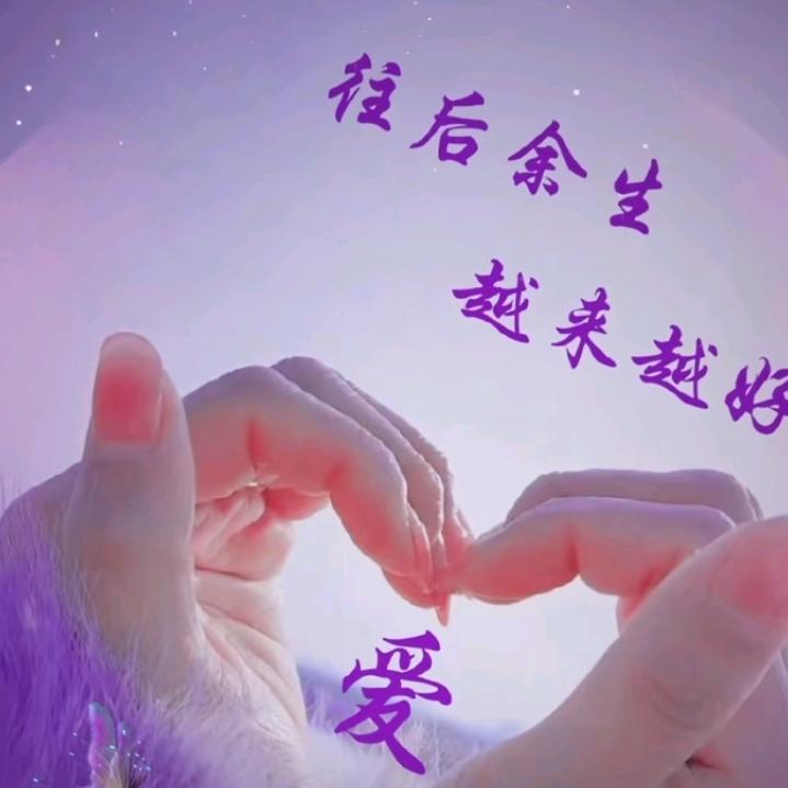 🌸紫🌸陌🌹（暂退抖音）