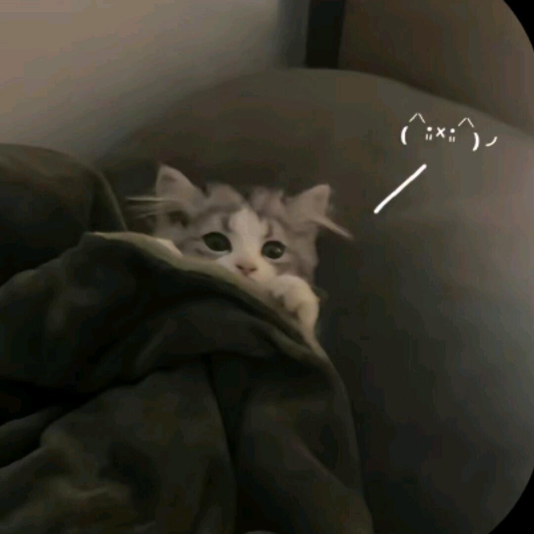 忆白惗