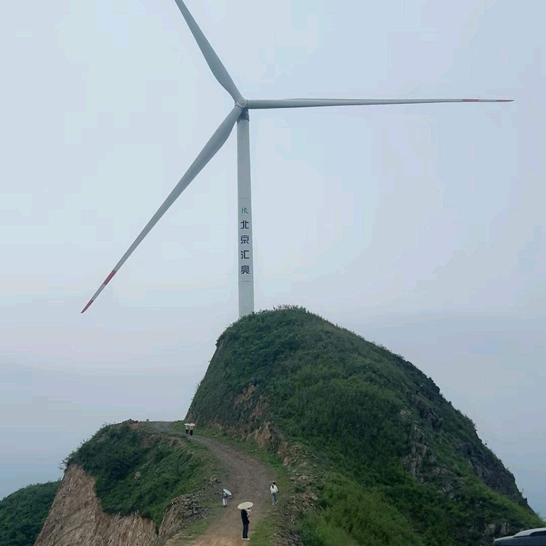 多情
