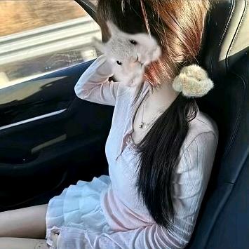骸