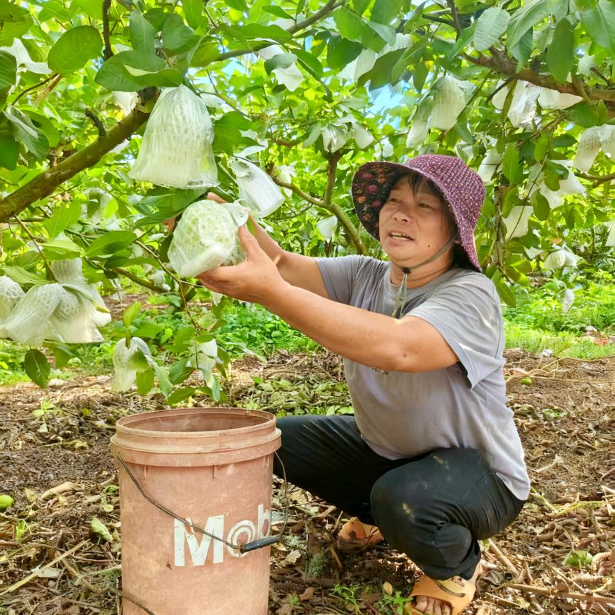 优优鲜领鲜一步