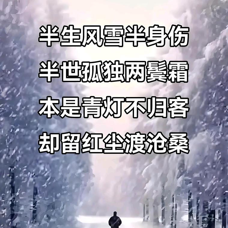 半生沧桑半生愁