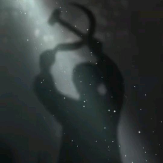 曹阿满    大白