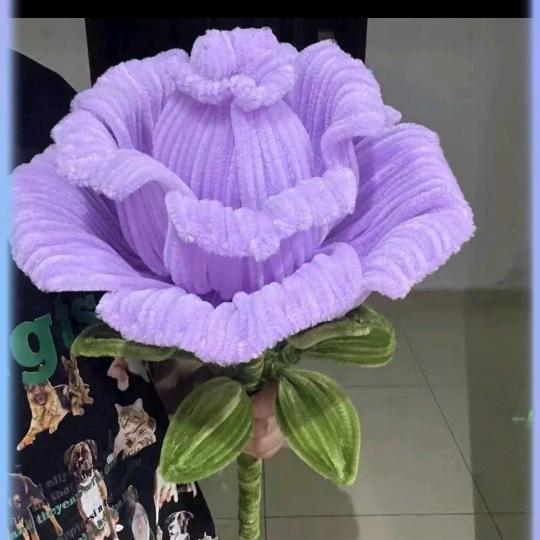 💞星辰🎀大海🌸