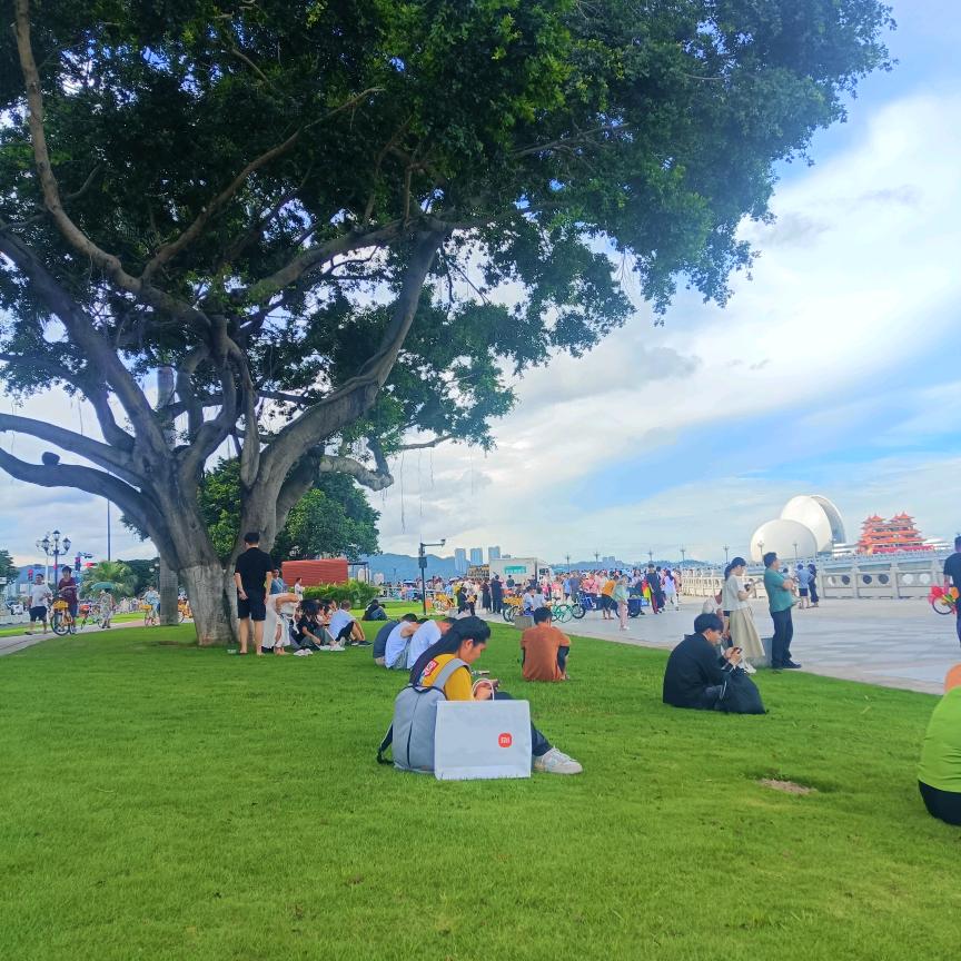 高姐带你做家证