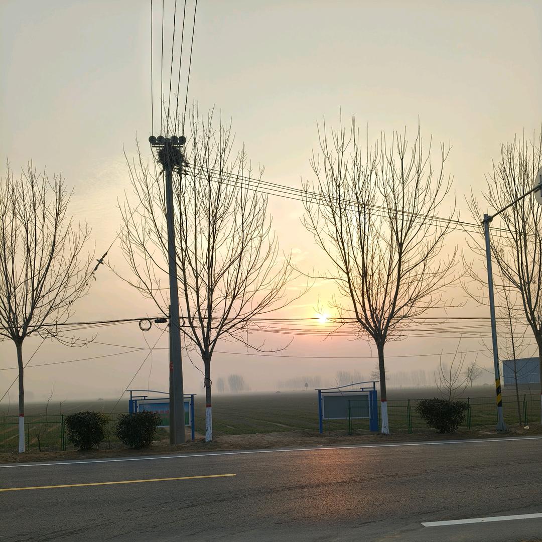 @@杨  木 易TL
