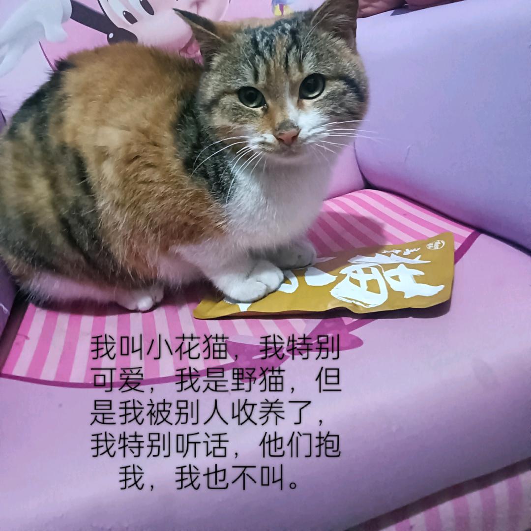 素华