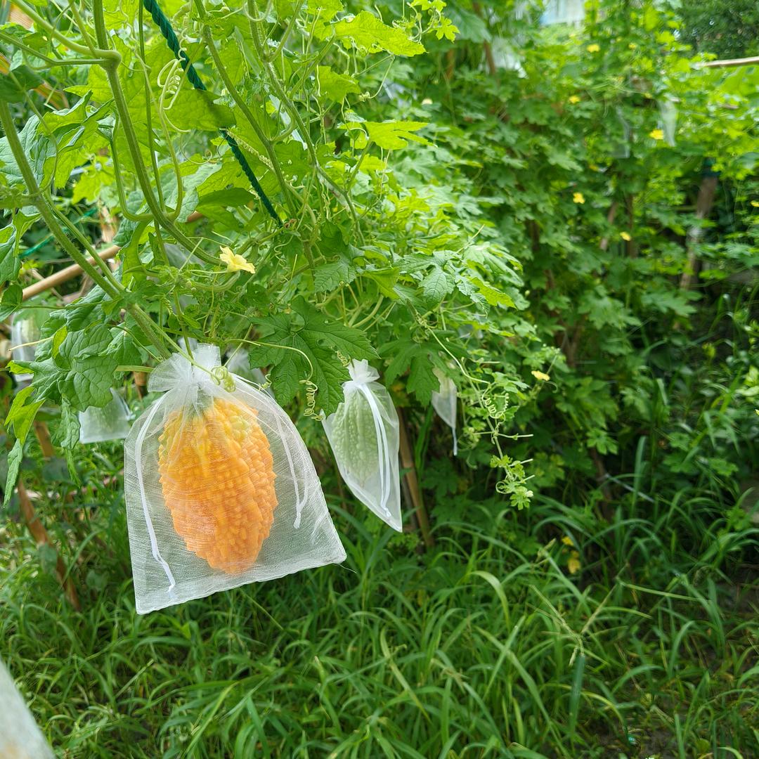 回忆开心每一天