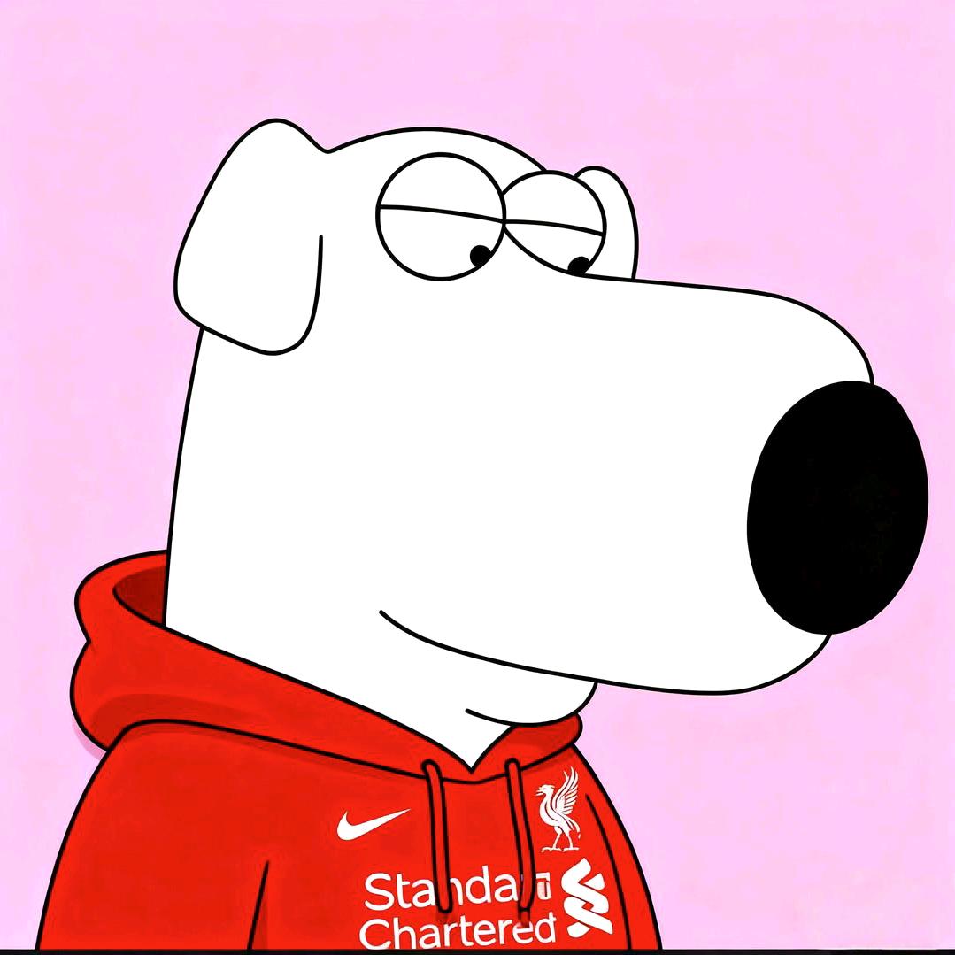 MR.Yo