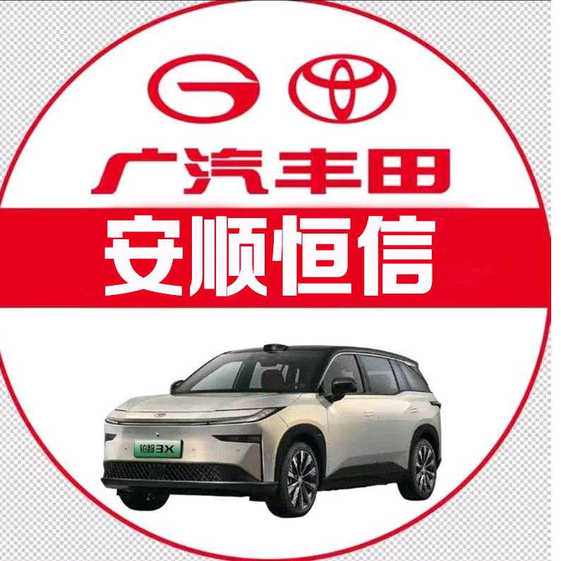 安顺新能源铂智