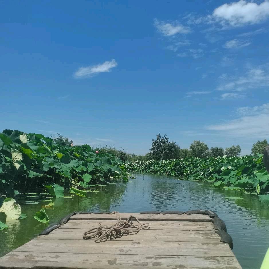 感恩生活🌸🌸🌸