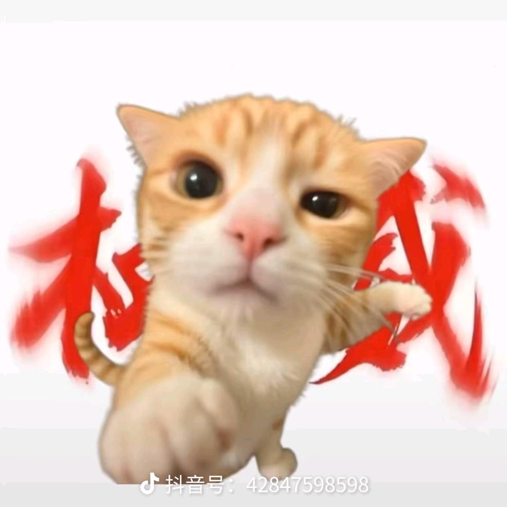 小区ovo