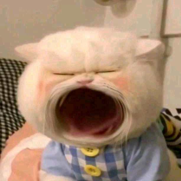 酒水