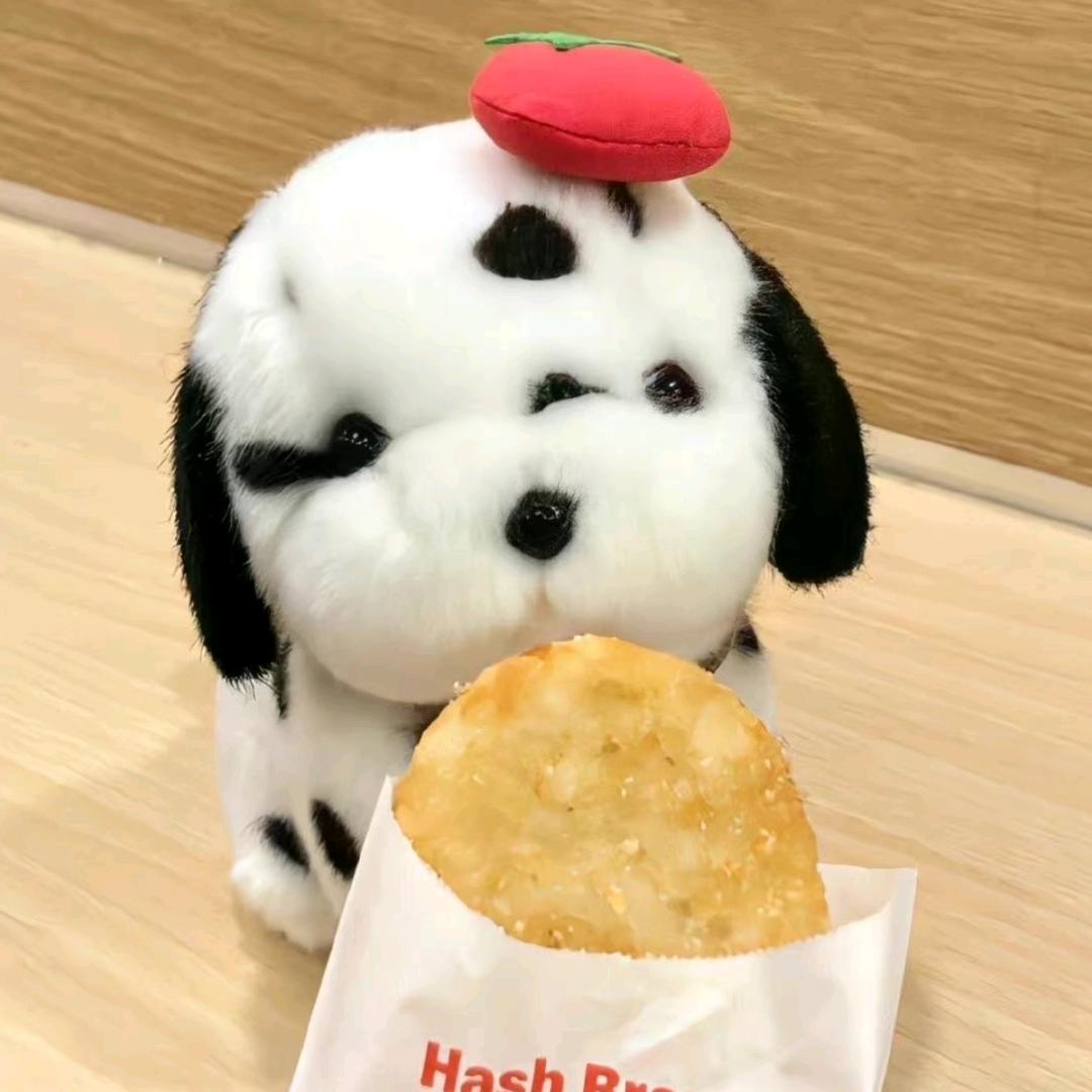 菲