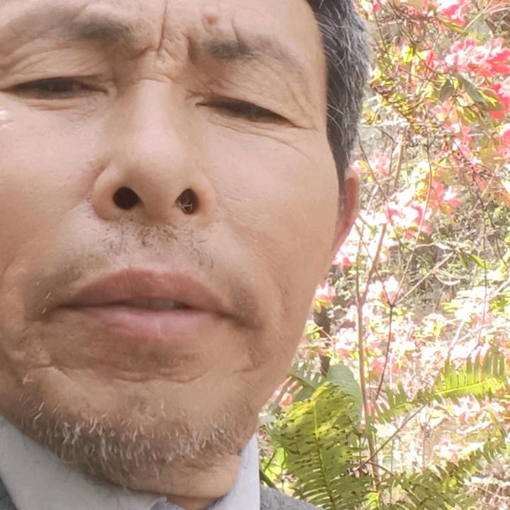 万里江山今谁属