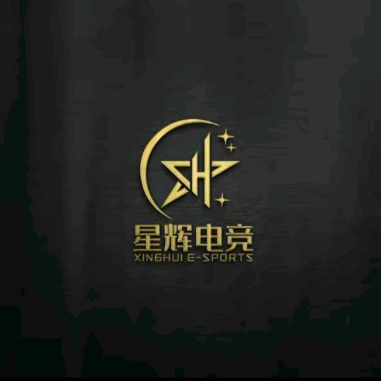 星辉电竞（同晟店）